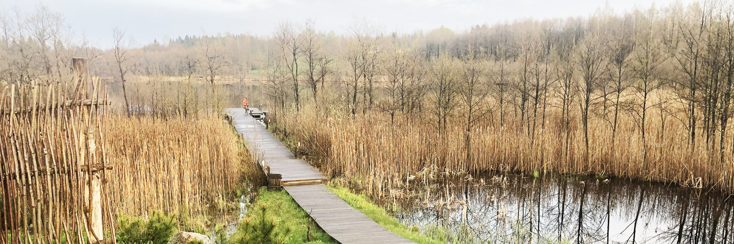 Litauen-Elektrenai-See