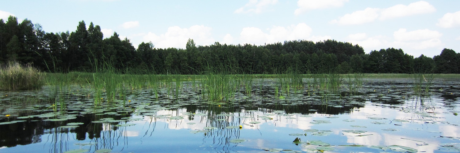 Litauen-Ignalina-Kanufahrt-01