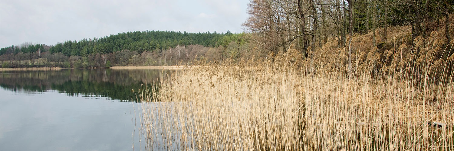 Litauen-Urlaub-am-See