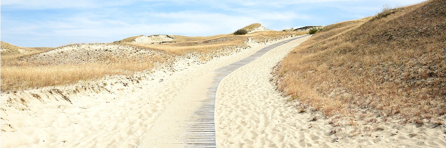 Litauen_Kurische Nehrung_ Dünenlandschaft