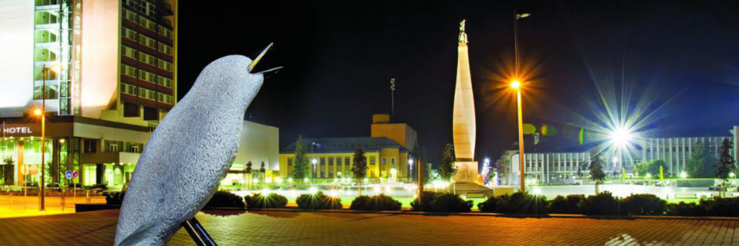 Litauen-Marijampole-Hotel-mit-Spa-01