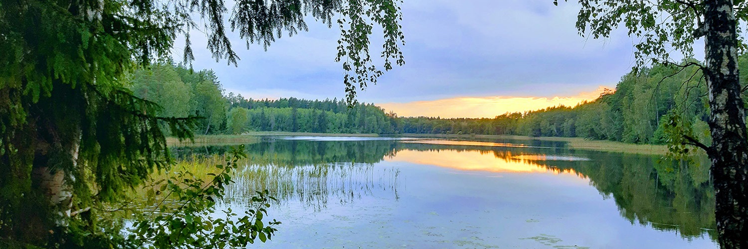 Litauen_Utena_Ferienhütte am Wasser im Wald