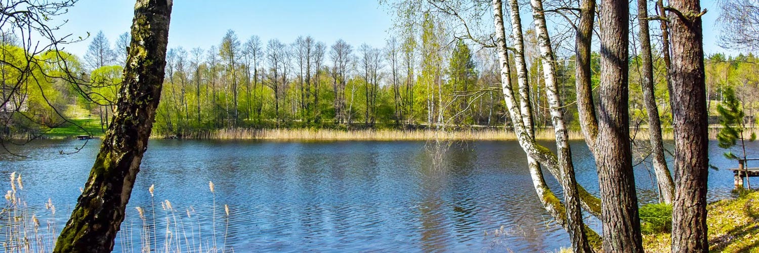 Litauen_Rajongemeinde Utena_Ferienhütte im Wald_02.jpg