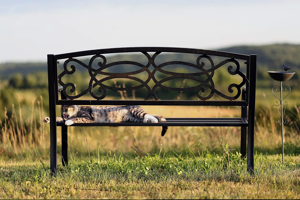 Feirenhausanlage auf dem Hügel