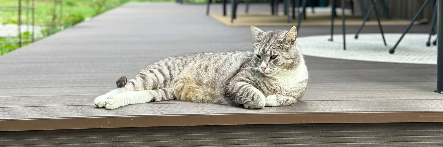 Litauen_Rajongemeinde_Elektrenai_Stilvolle-Ferienhausanlage_44