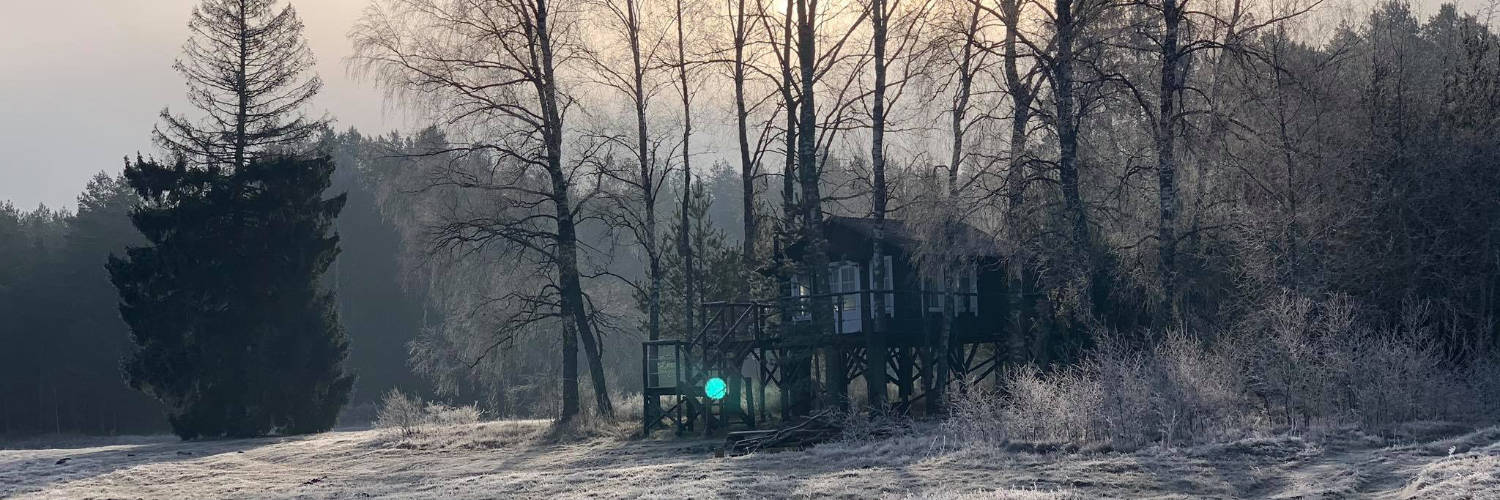 Litauen-Varena-Baumhaus-im-Wald