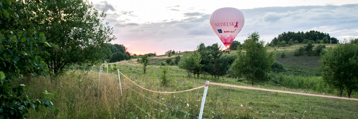 Litauen-Trakai-Luftballonfahrt
