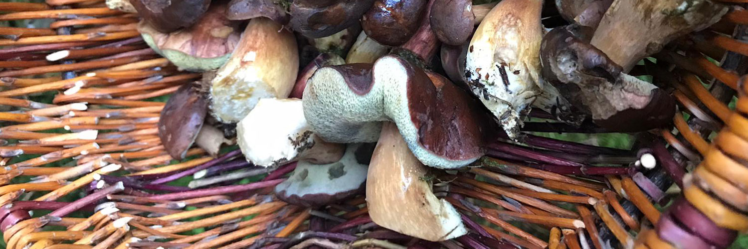 litauen-varena-pilze-02