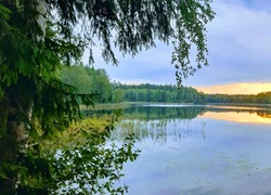 Litauen-Ferienhuette-im-Wald-08