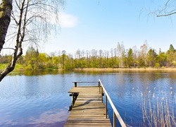 Litauen-Ferienhuette-im-Wald-09