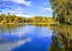 Litauen-Ferienhuette-im-Wald-03