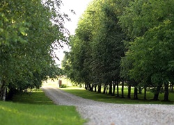Litauen_Rajongemeinde_Elektrenai_Stilvolle-Ferienhausanlage_25