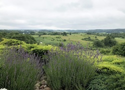 Litauen_Rajongemeinde_Elektrenai_Stilvolle-Ferienhausanlage_20