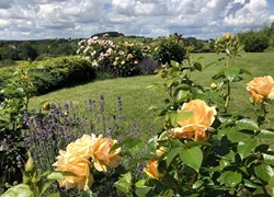 Litauen_Rajongemeinde_Elektrenai_Stilvolle-Ferienhausanlage_28