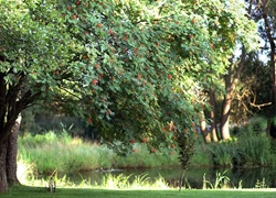 Litauen_Rajongemeinde_Elektrenai_Stilvolle-Ferienhausanlage_27