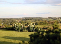 Litauen_Rajongemeinde_Elektrenai_Stilvolle-Ferienhausanlage_19