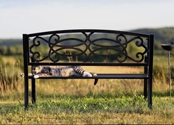 Litauen_Rajongemeinde_Elektrenai_Stilvolle-Ferienhausanlage_21