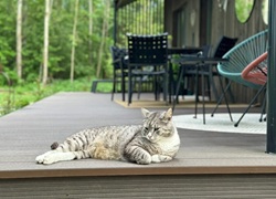 Litauen_Rajongemeinde_Elektrenai_Stilvolle-Ferienhausanlage_29