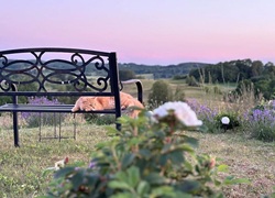 Litauen_Rajongemeinde_Elektrenai_Stilvolle-Ferienhausanlage_22