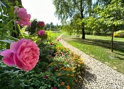 Litauen_Rajongemeinde_Elektrenai_Stilvolle-Ferienhausanlage_23