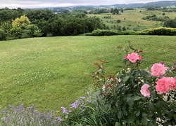 Litauen_Rajongemeinde_Elektrenai_Stilvolle-Ferienhausanlage_24